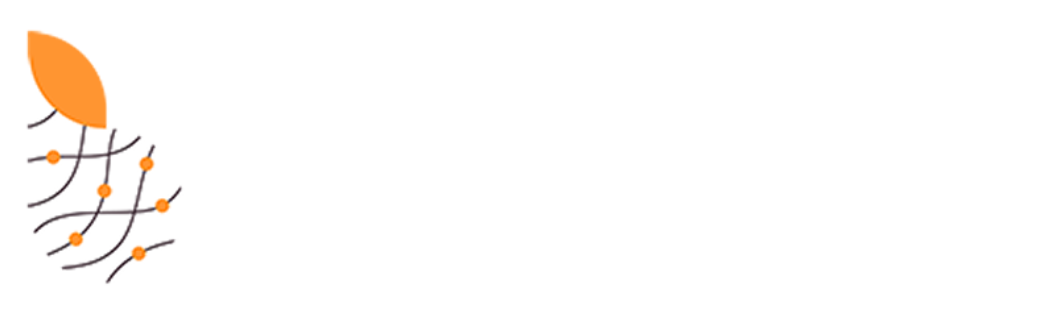 Hair Summit